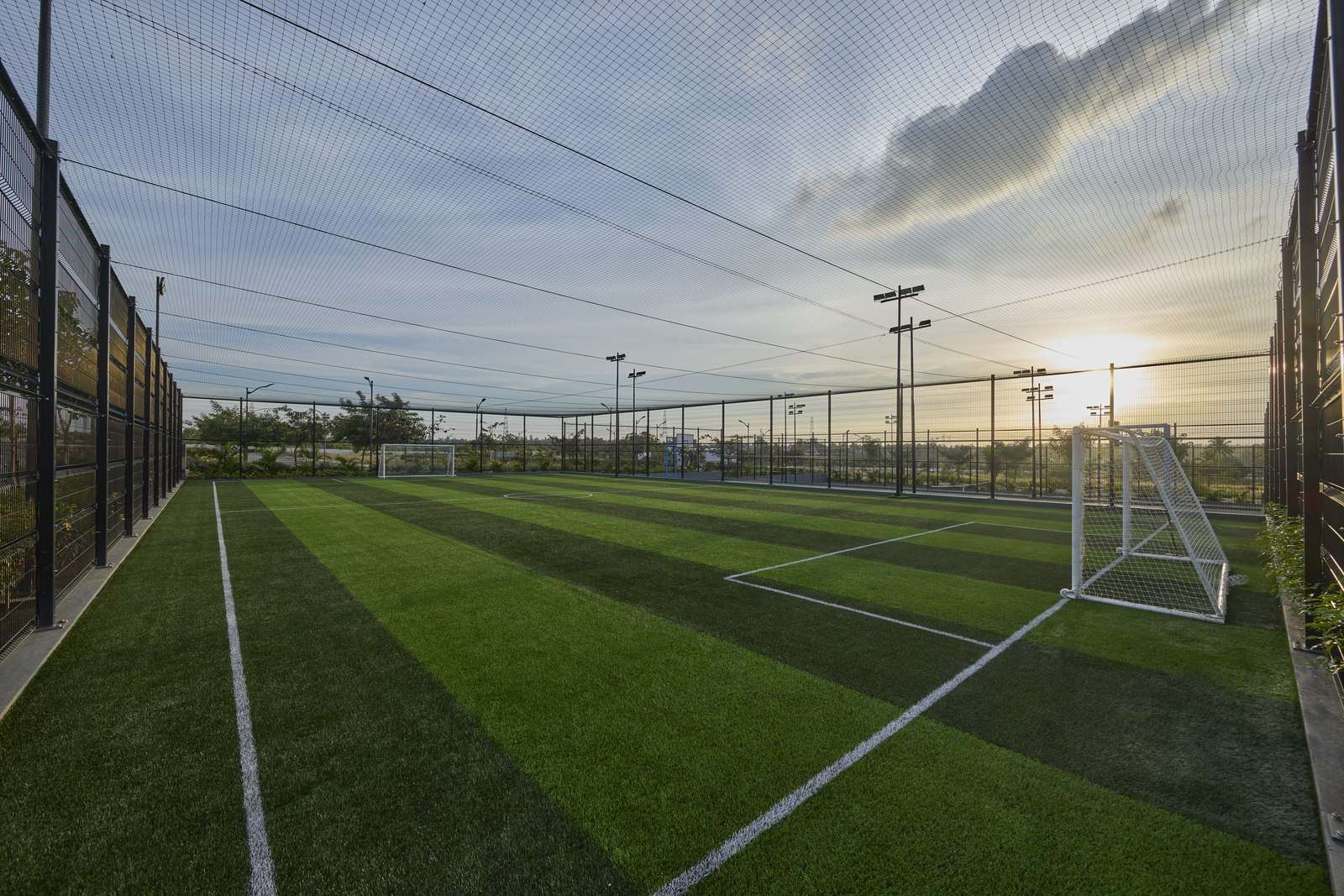 Football Turf